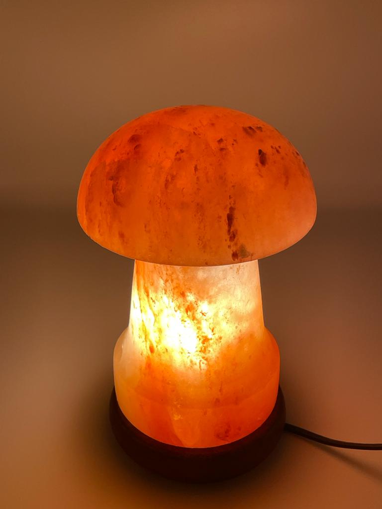 Himalayan salt lava deals lamp